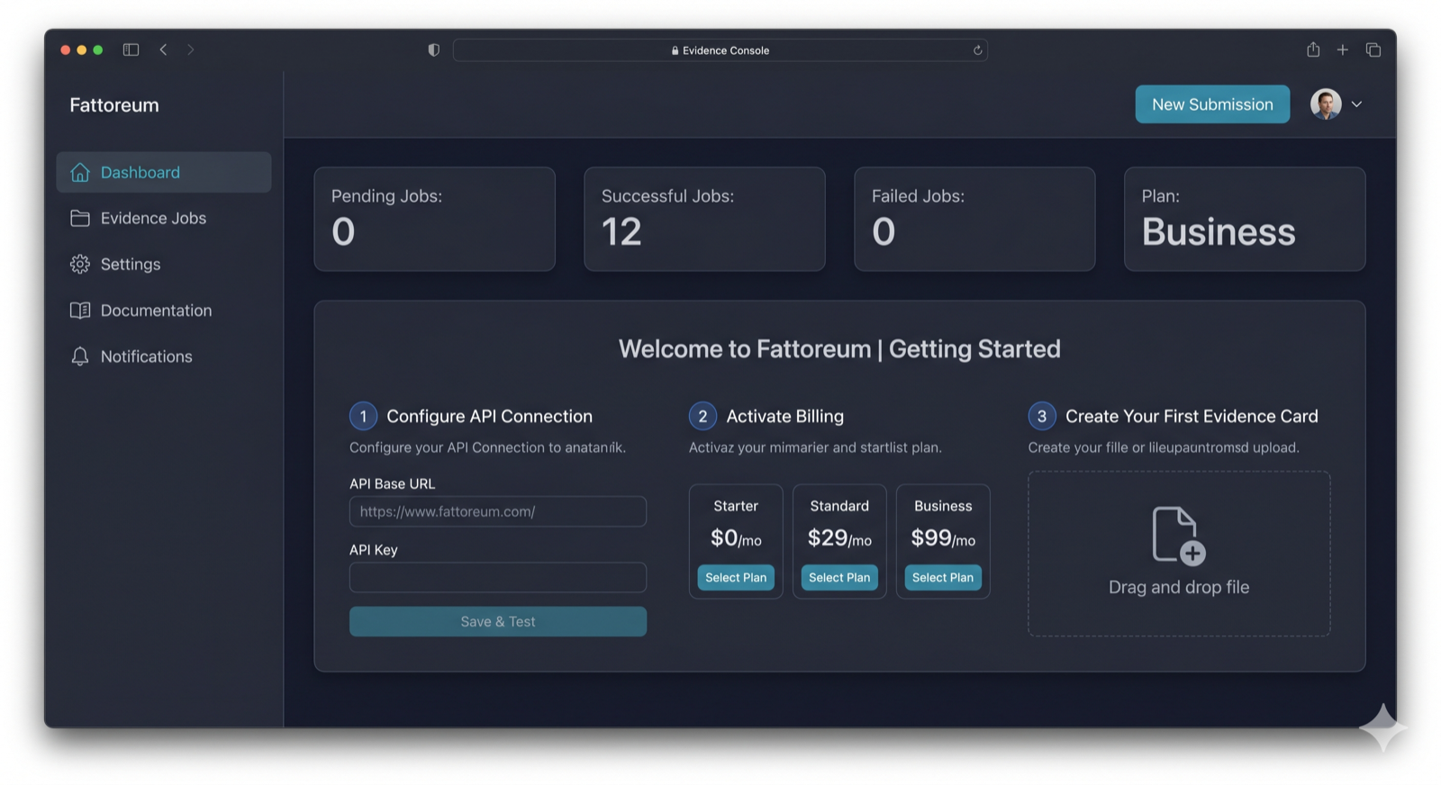 Dashboard onboarding layout with metrics and setup flow
